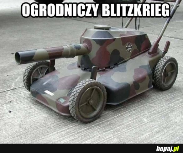 WYGRA Z KAŻDĄ TRAWĄ