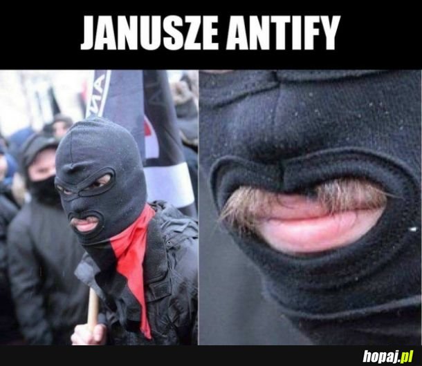 Janusz