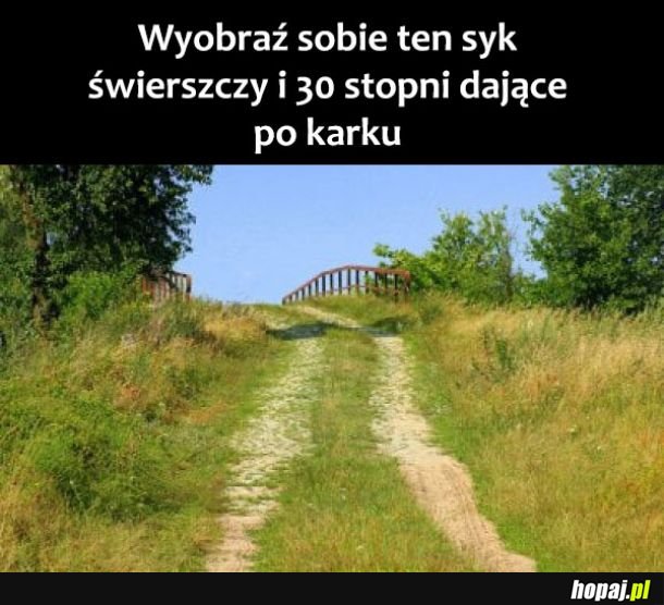 Wyobraź to sobie