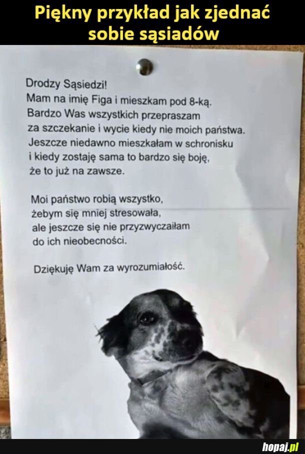 Piękny przykład jak zjednać sobie sąsiadów