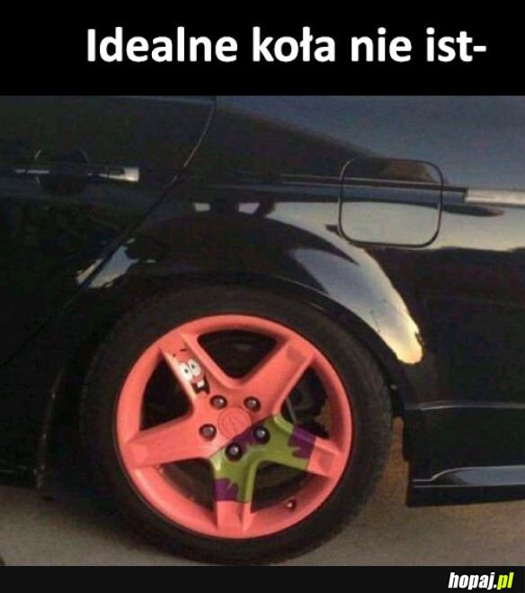 Idealne koło