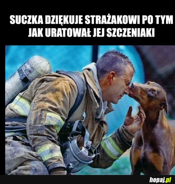 WDZIĘCZNOŚĆ