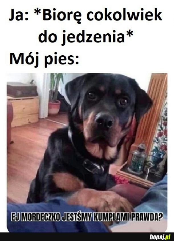 Ziomeczku daj trochę