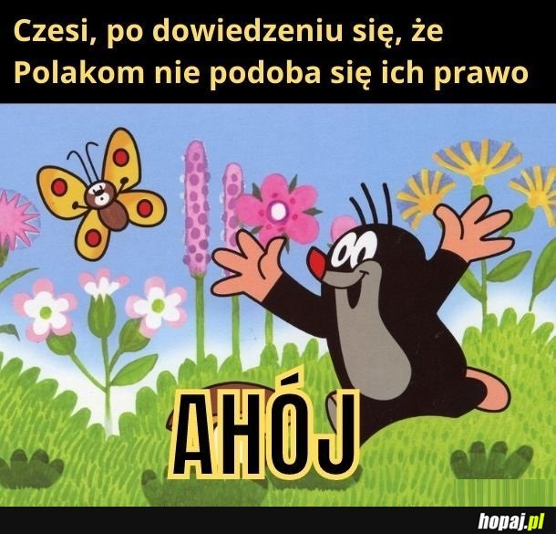 Średnio się przejęli