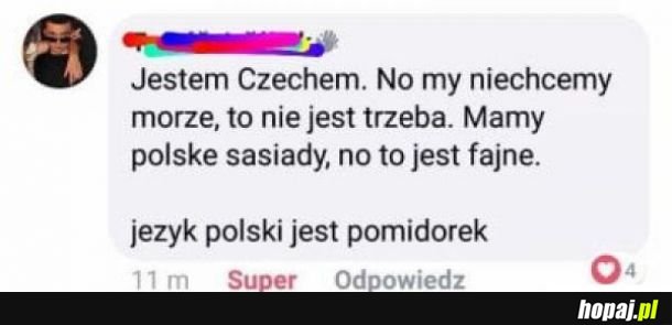  Czechy