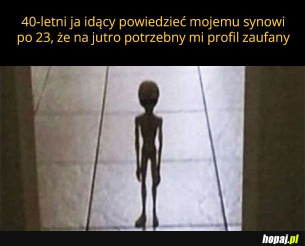 Synek śpisz? mam dla ciebie bojowe zadanie