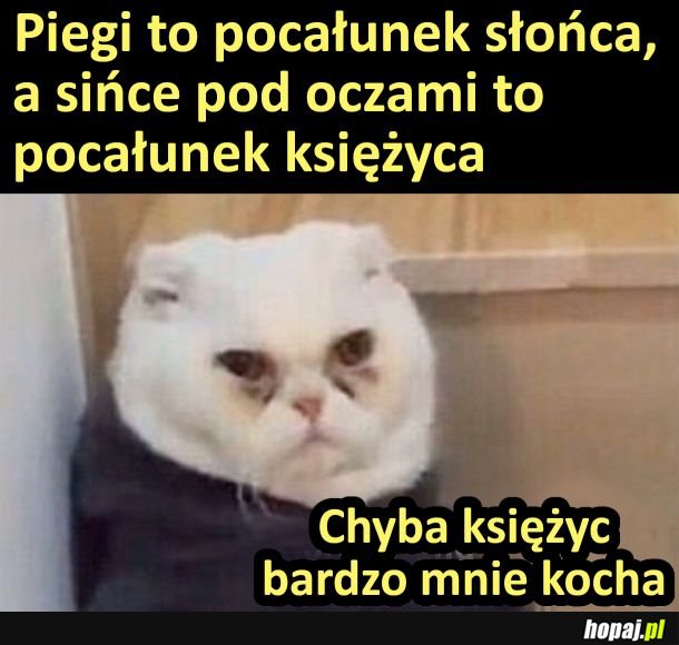 Pocałunek księżyca