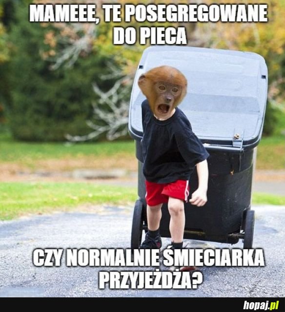 Mame co z tymi śmieciami robić
