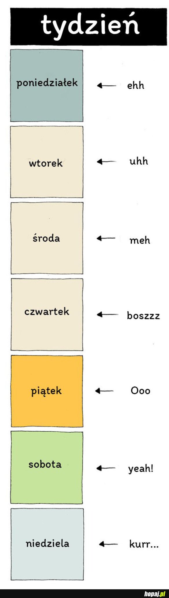 TAK TO WŁAŚNIE WYGLĄDA