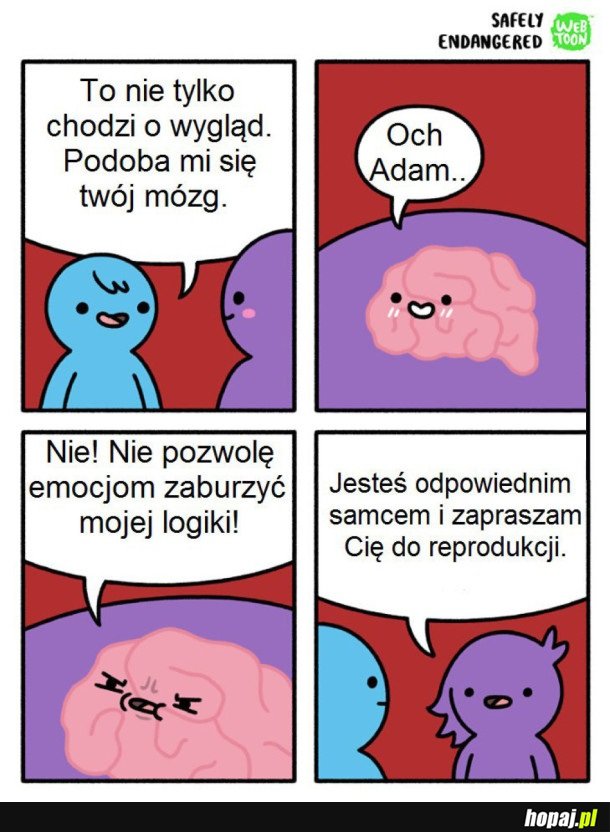 PODOBA MI SIĘ TWÓJ MÓZG