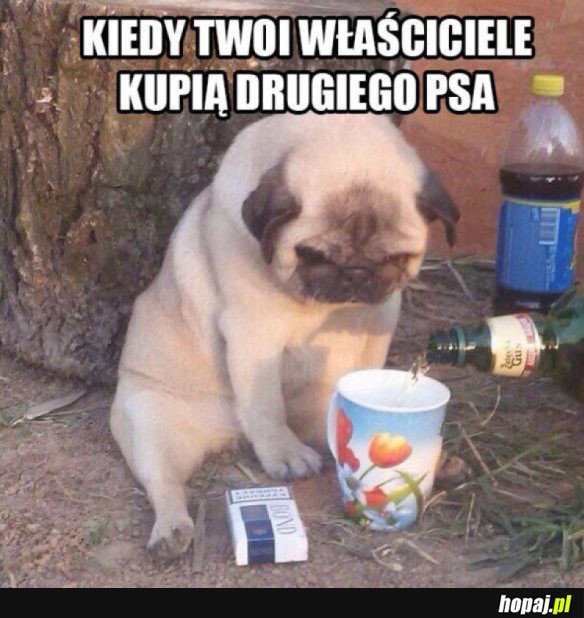 SMUTNY PIESEŁ