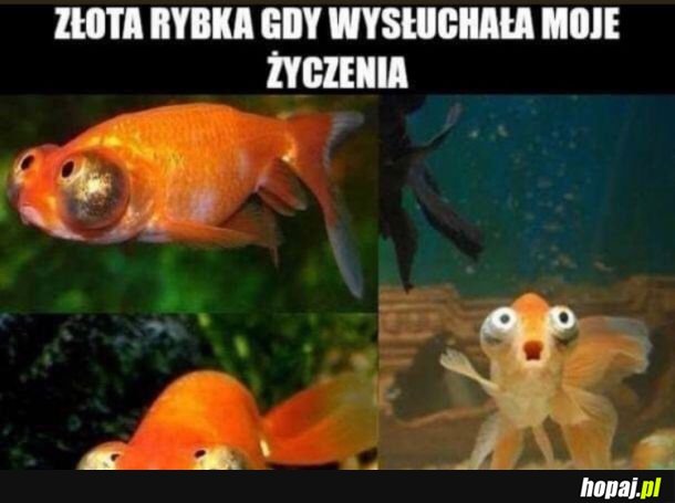 O kwa stary