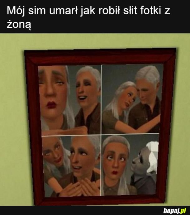 Simsy