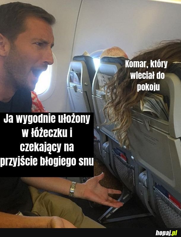 Komar 