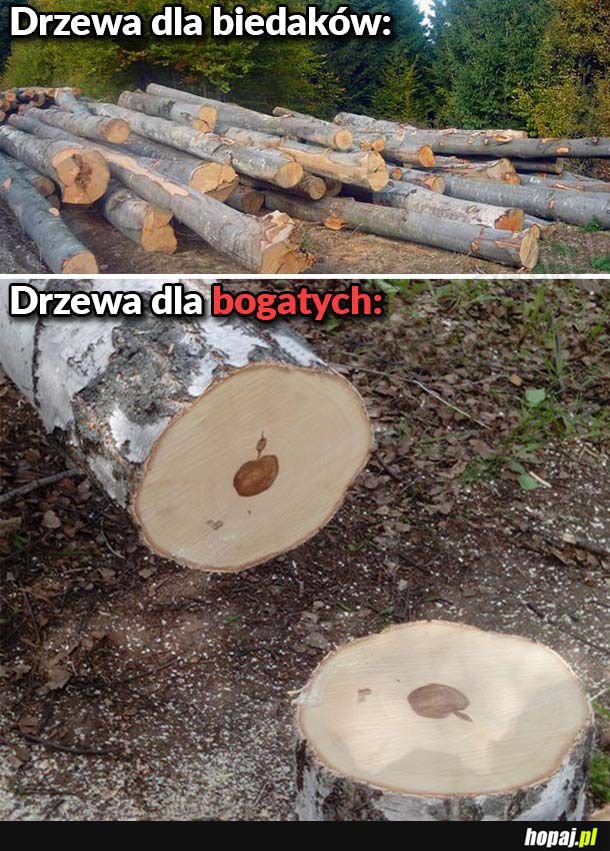 Drzewa dla nadzianych 