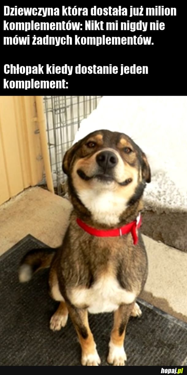 Happy boi noises