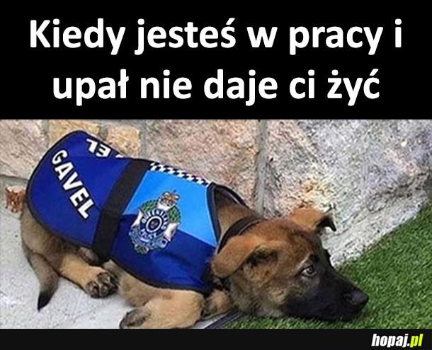 Upał