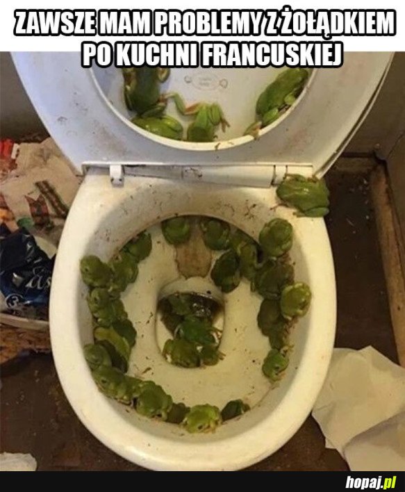 PROBLEMY PO KUCHNI FRANCUSKIEJ