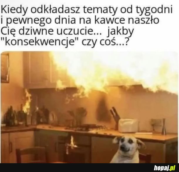 Konsekwencje? Pierwsze słyszę