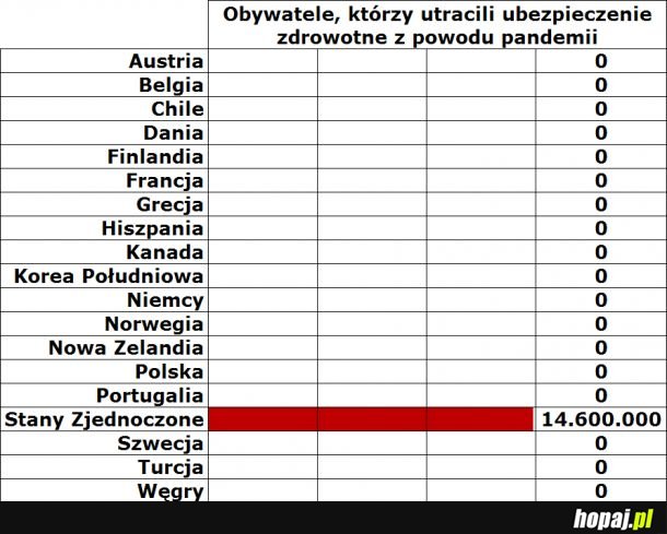 Widziałeś kiedyś mema zrobionego w Excelu?