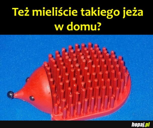 Kto miał?