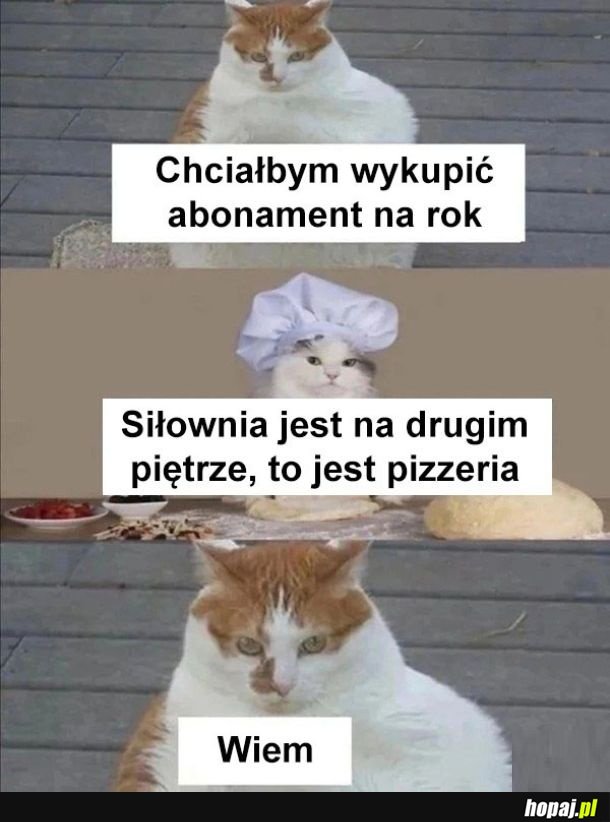 Karnecik