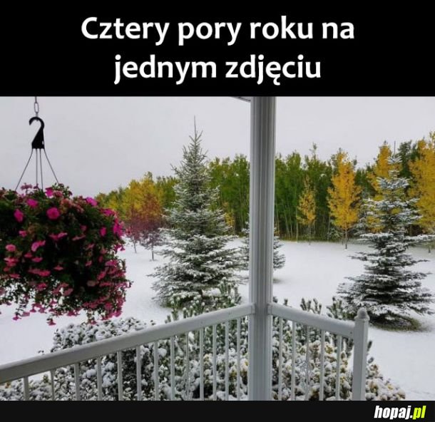  4 pory 