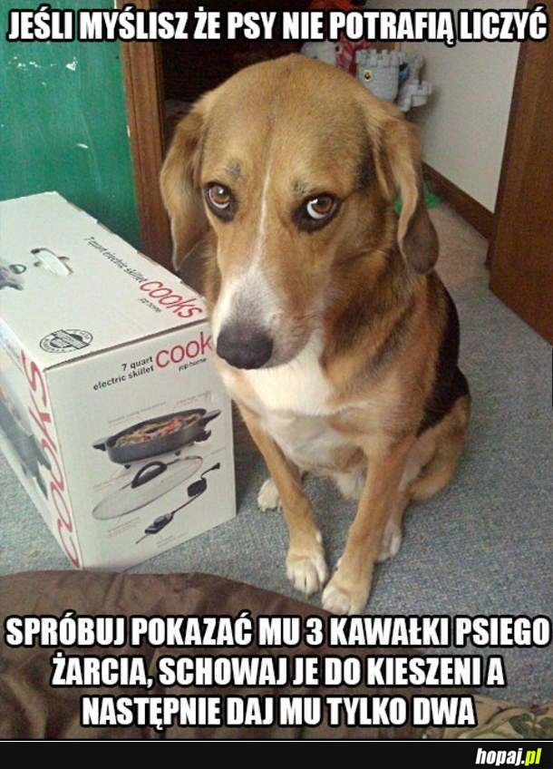 Jednak potrafią