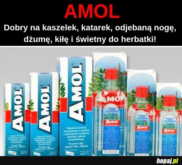  Amol