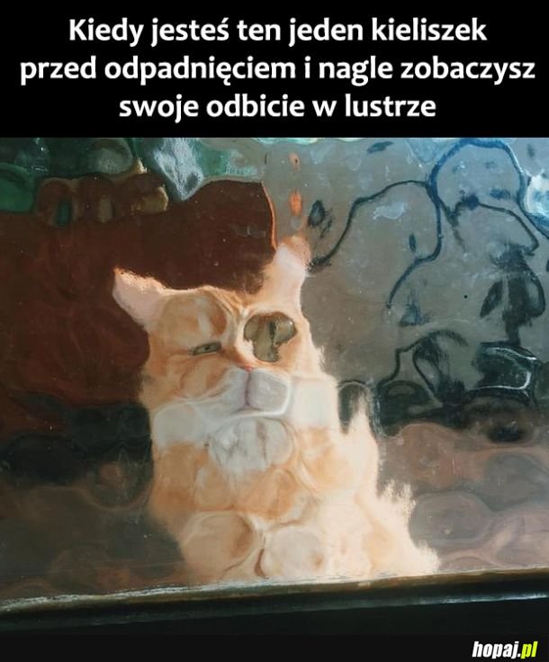 Najpijaniej