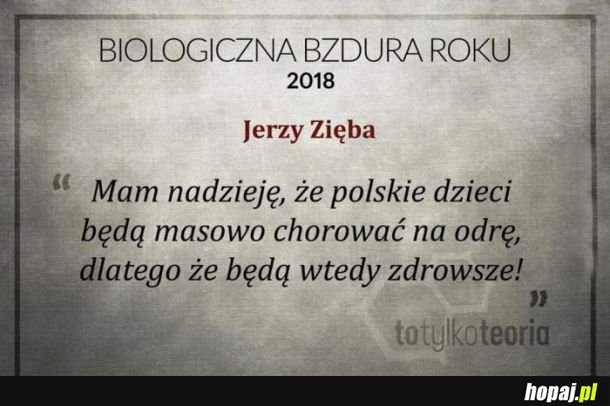 Bzdura roku