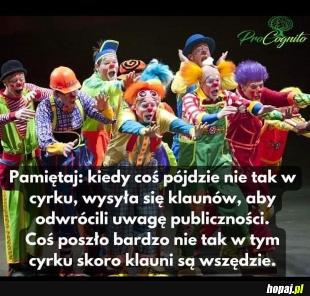 Jakie to prawdziwe