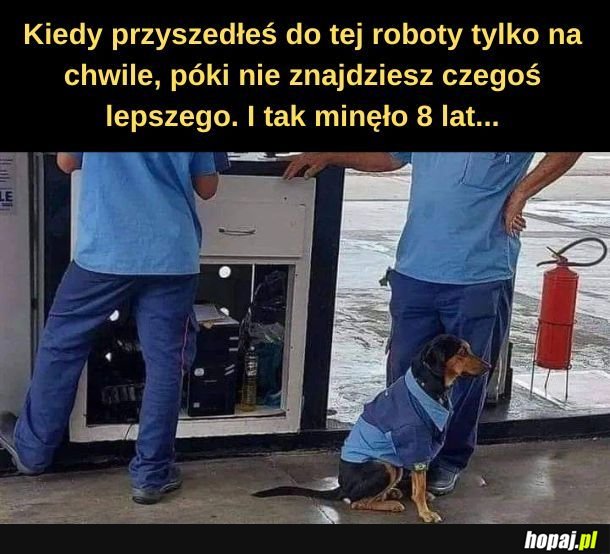 Praca na chwilę. 