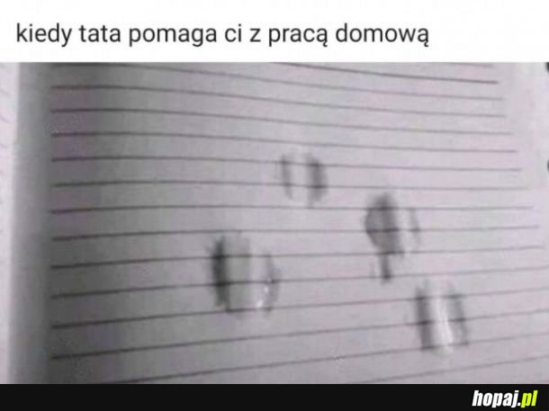  Praca domowa 