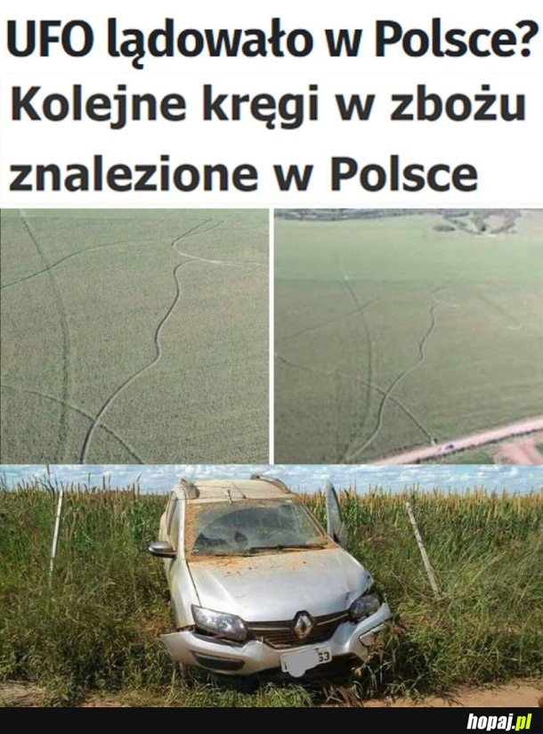 KRĘGI W ZBOŻU