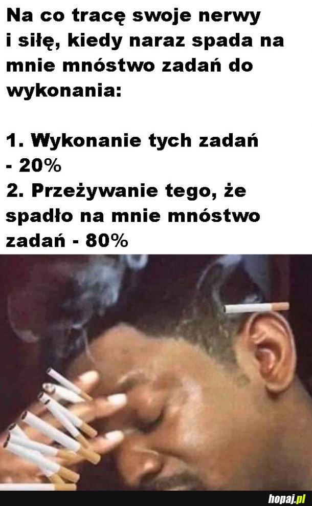 Dużo obowiązków