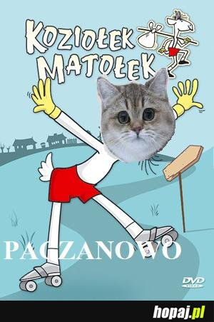 PACZOŁEK MATOŁEK  ZMIERZA DO PACZANOWA!