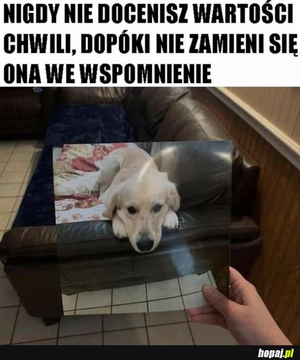 Niestety tak jest