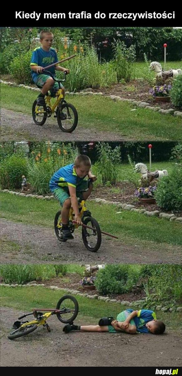 MEM KONTRA RZECZYWISTOŚĆ