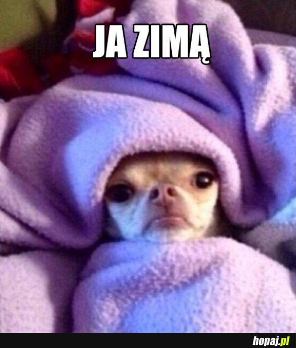 Ja zimą