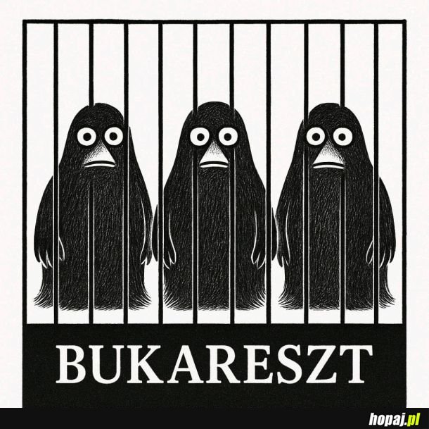 Biedne Buki xD