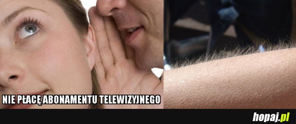 Abonament