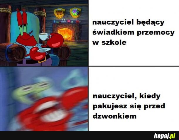 Typowy nauczyciel