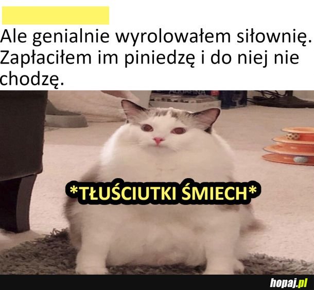 Tłuściutki śmiech