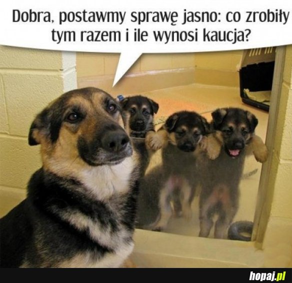 Przestępcy