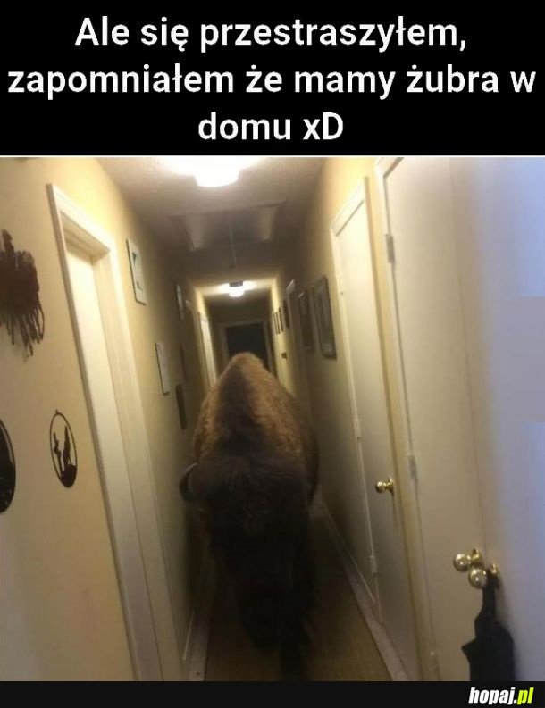 No tak