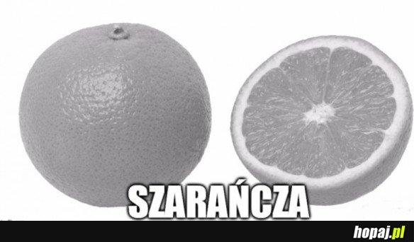 SZARO