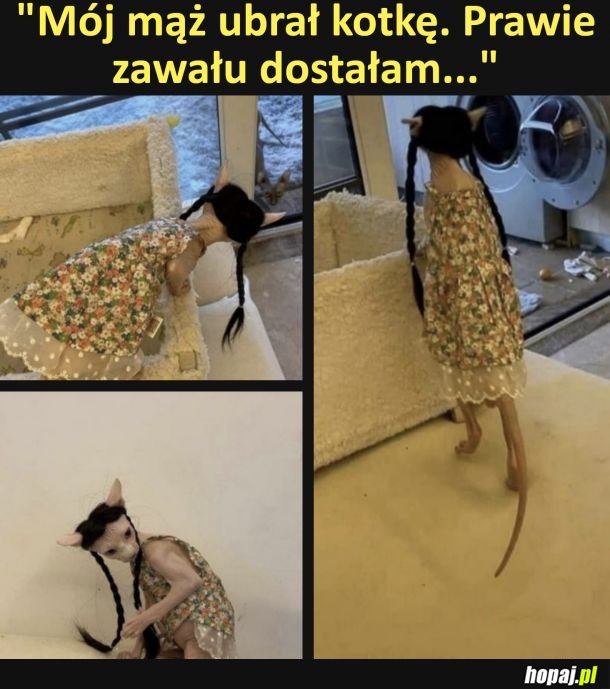 Ależ przebranie