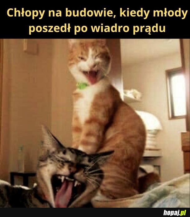 Młody dał się nabrać