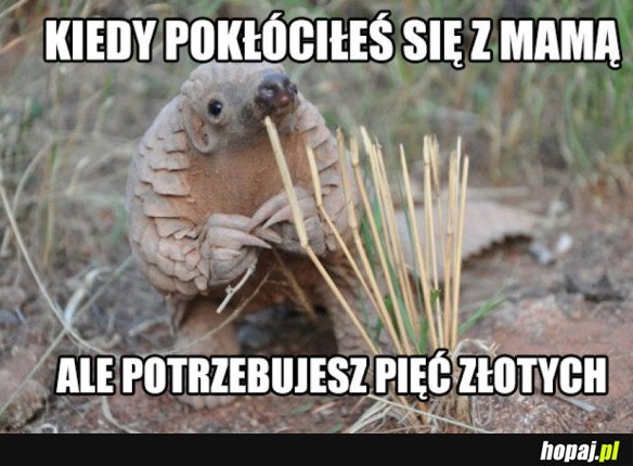 Głupia sytuacja